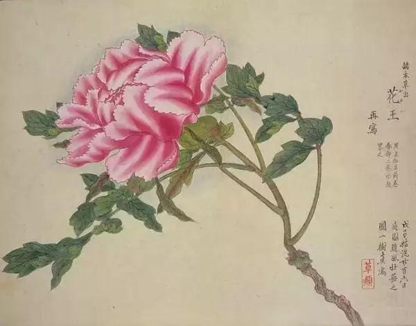 资讯