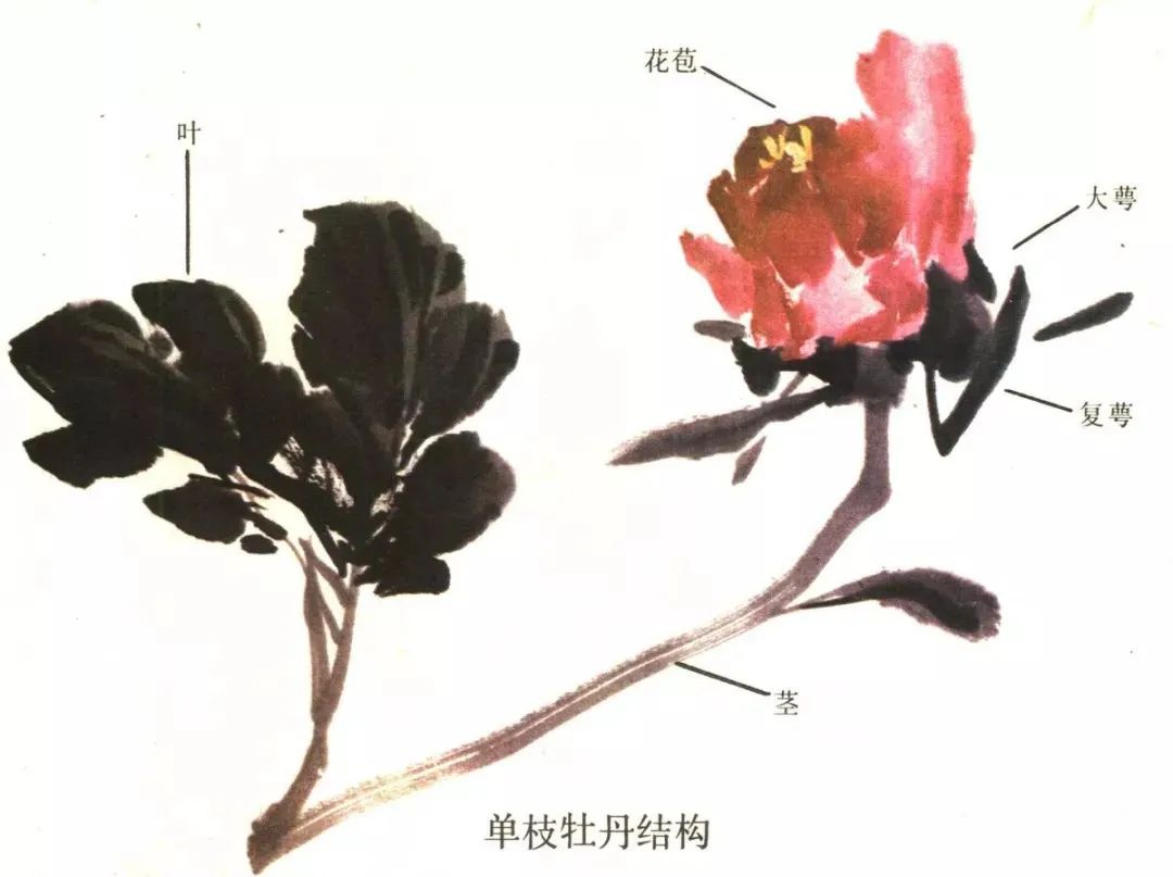 资讯