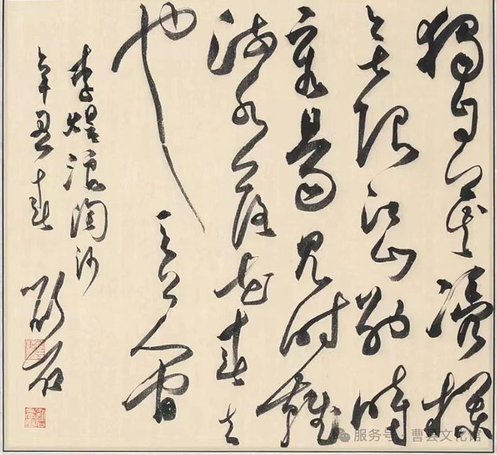 活动